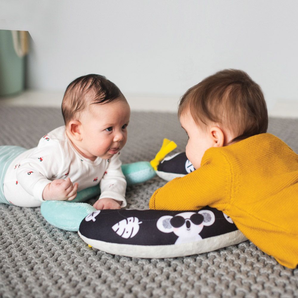 Taf Toys - 2-in-1 Tummy-Time Soft Baby Developmental Pillow