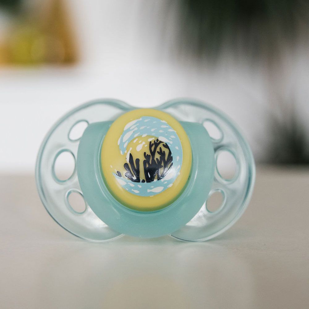 Tommee Tippee - Night Time Soother, Pack of 2