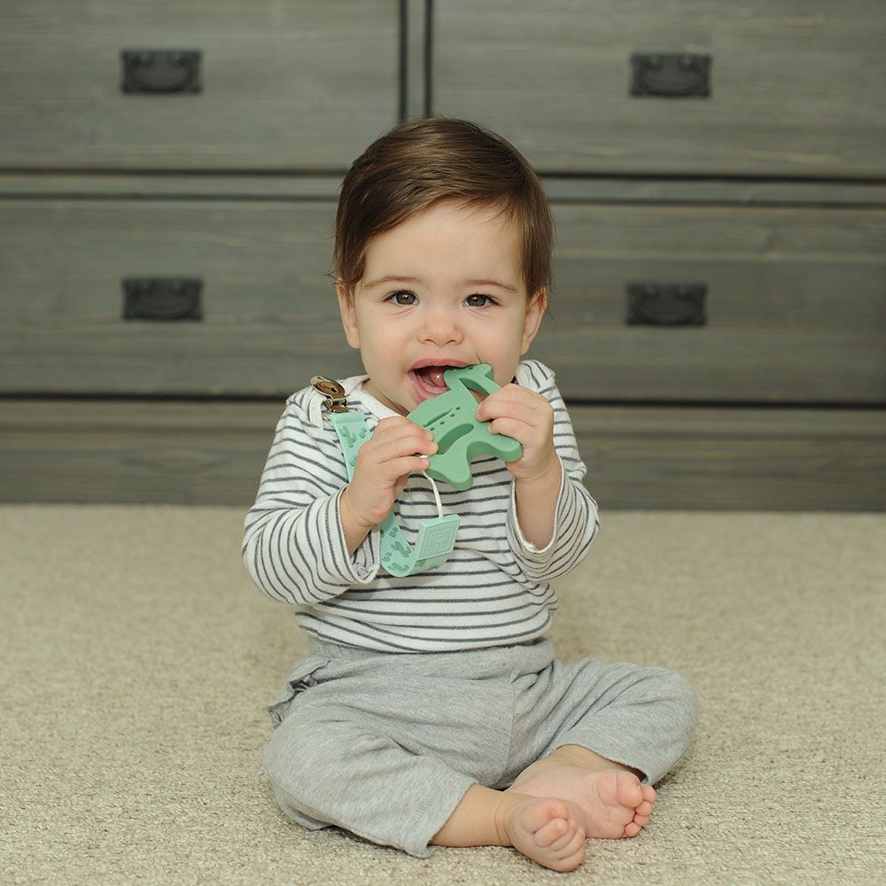 Malarkey Kids - Teether Tether And Teether - Cactus and Llama