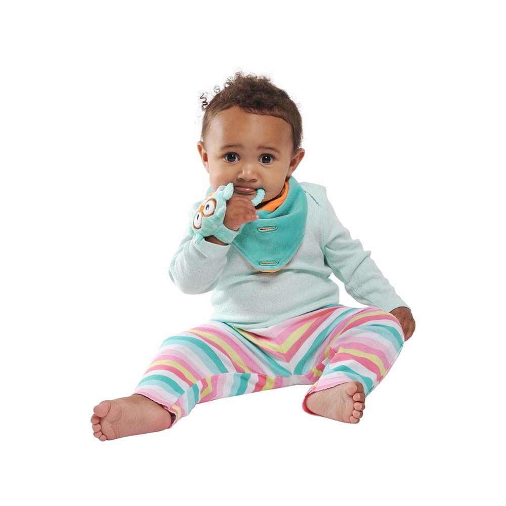 Buddy Bib - 3-in-1 Sensory Teething Toy & Bib - Ollie Owl