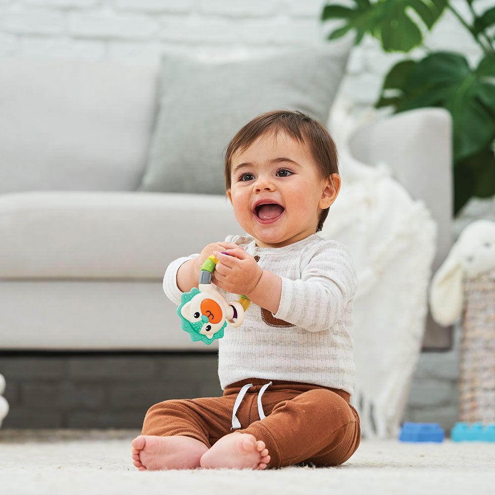 Infantino - Hedgehog Teether