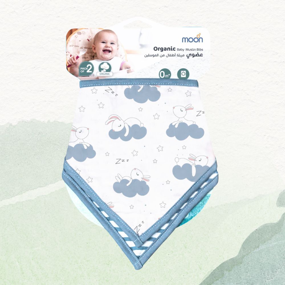 Moon - Organic Muslin Bibs Pack of 2 - Bunny & Blue Stripes