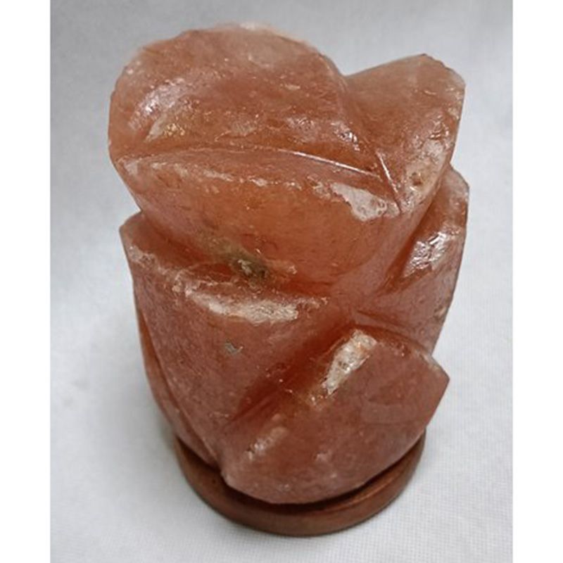 Himalayan Salt - Rose Lamp