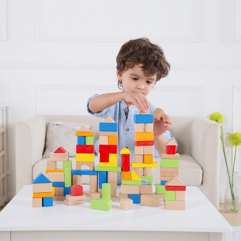 Tooky Toy - Wooden Blocks 50pcs