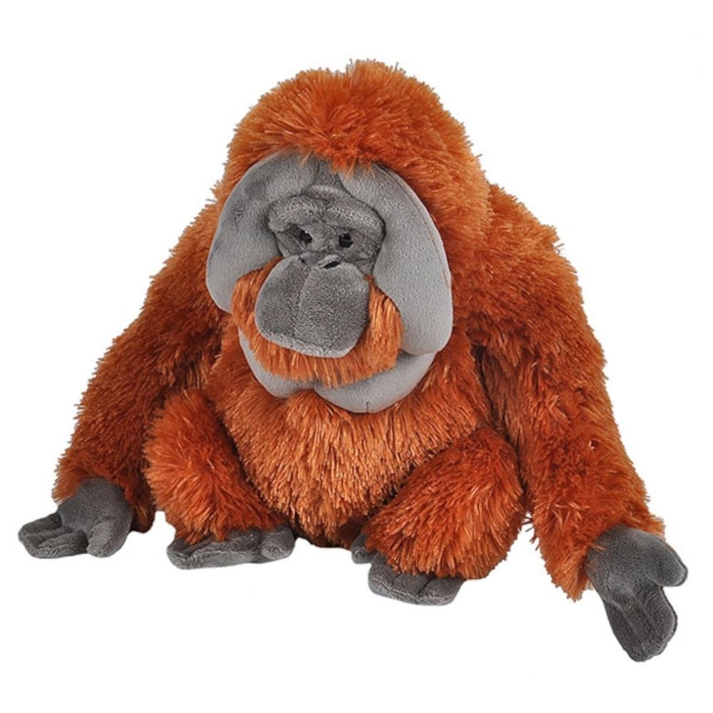 Wild Planet - Soft Plush Toys - Orangutan - Assorted 1pc