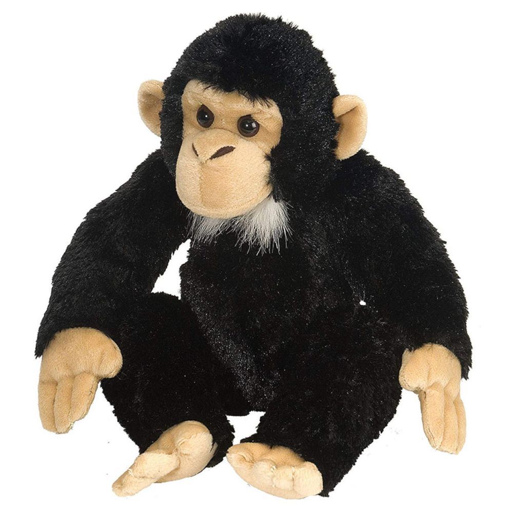 Wild Planet - Soft Plush Toys - Chimpazee - Assorted 1pc