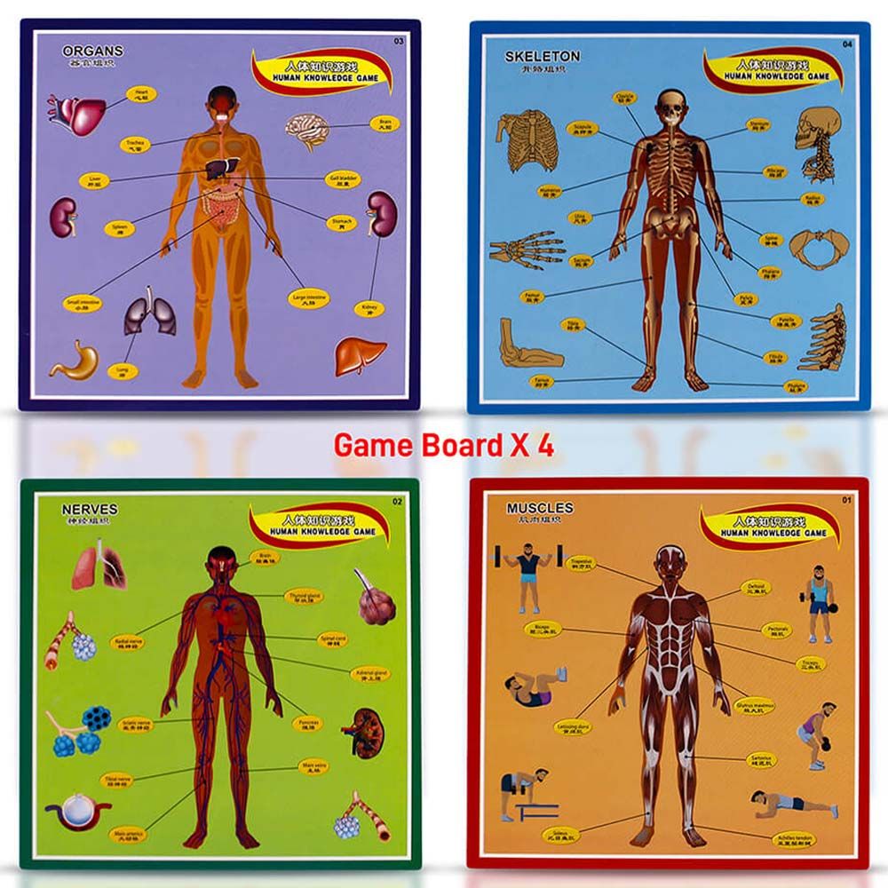 UKR - Body Puzzle Board Game