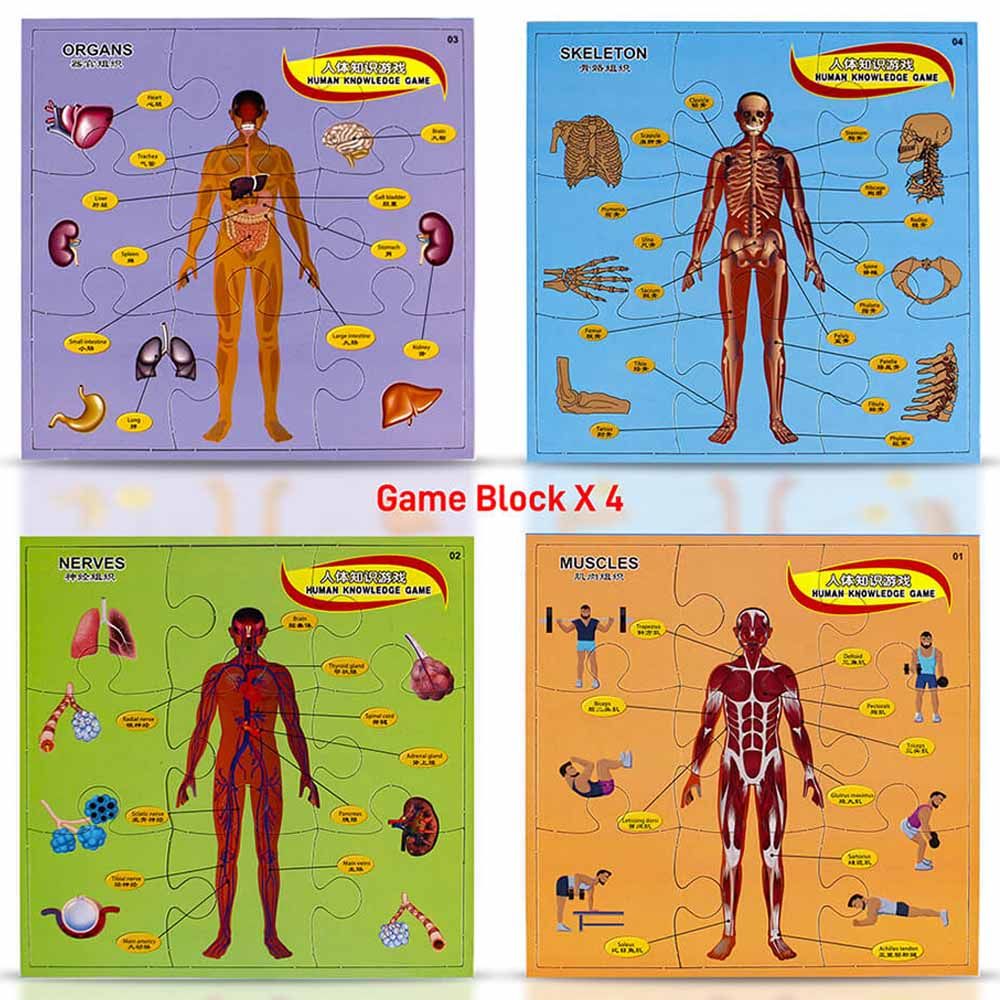 UKR - Body Puzzle Board Game