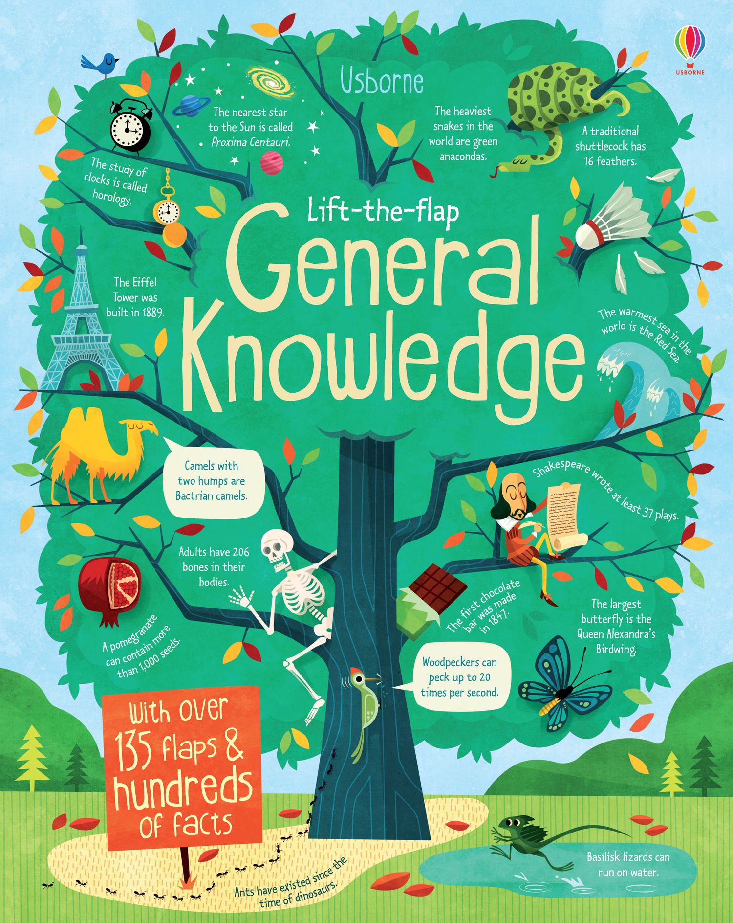 Usborne Books - Lift-the-flap General Knowledge