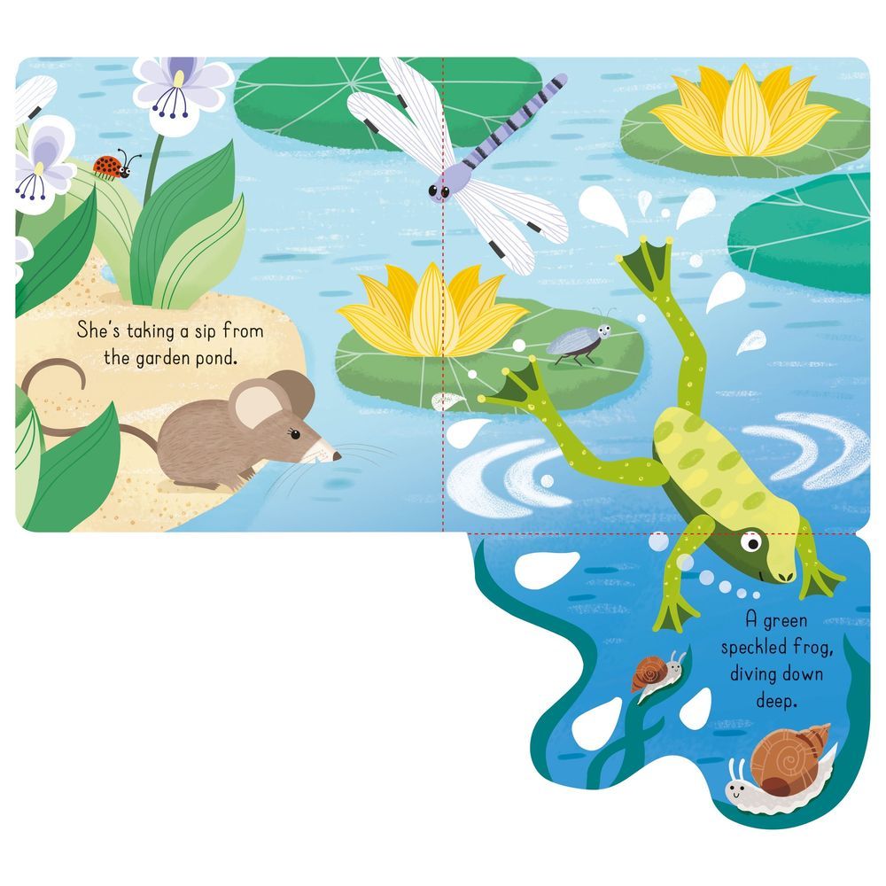 Usborne Books - Little Lift And Look Garden