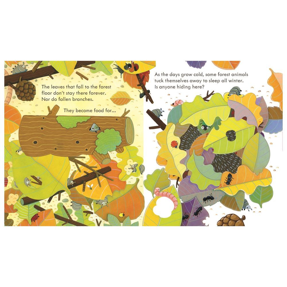 Usborne Books - Peep Inside A Forest