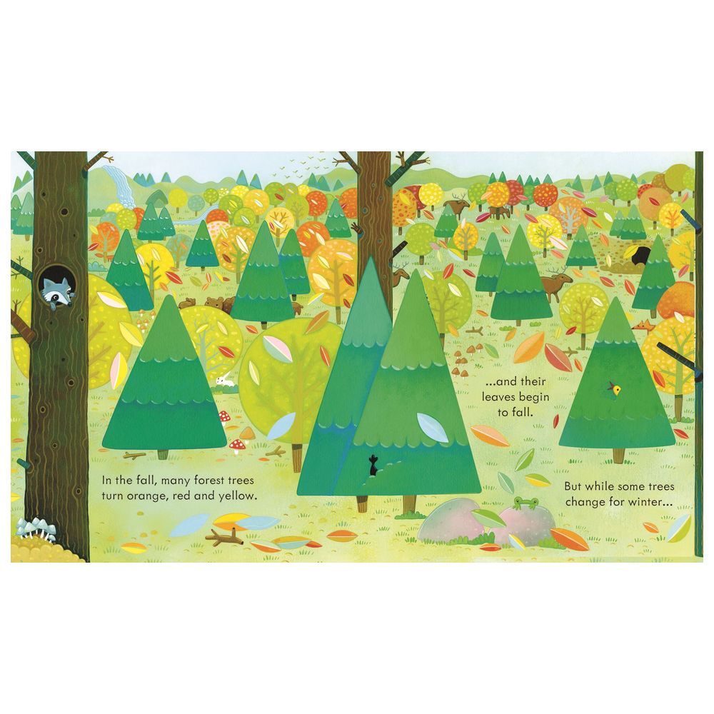 Usborne Books - Peep Inside A Forest