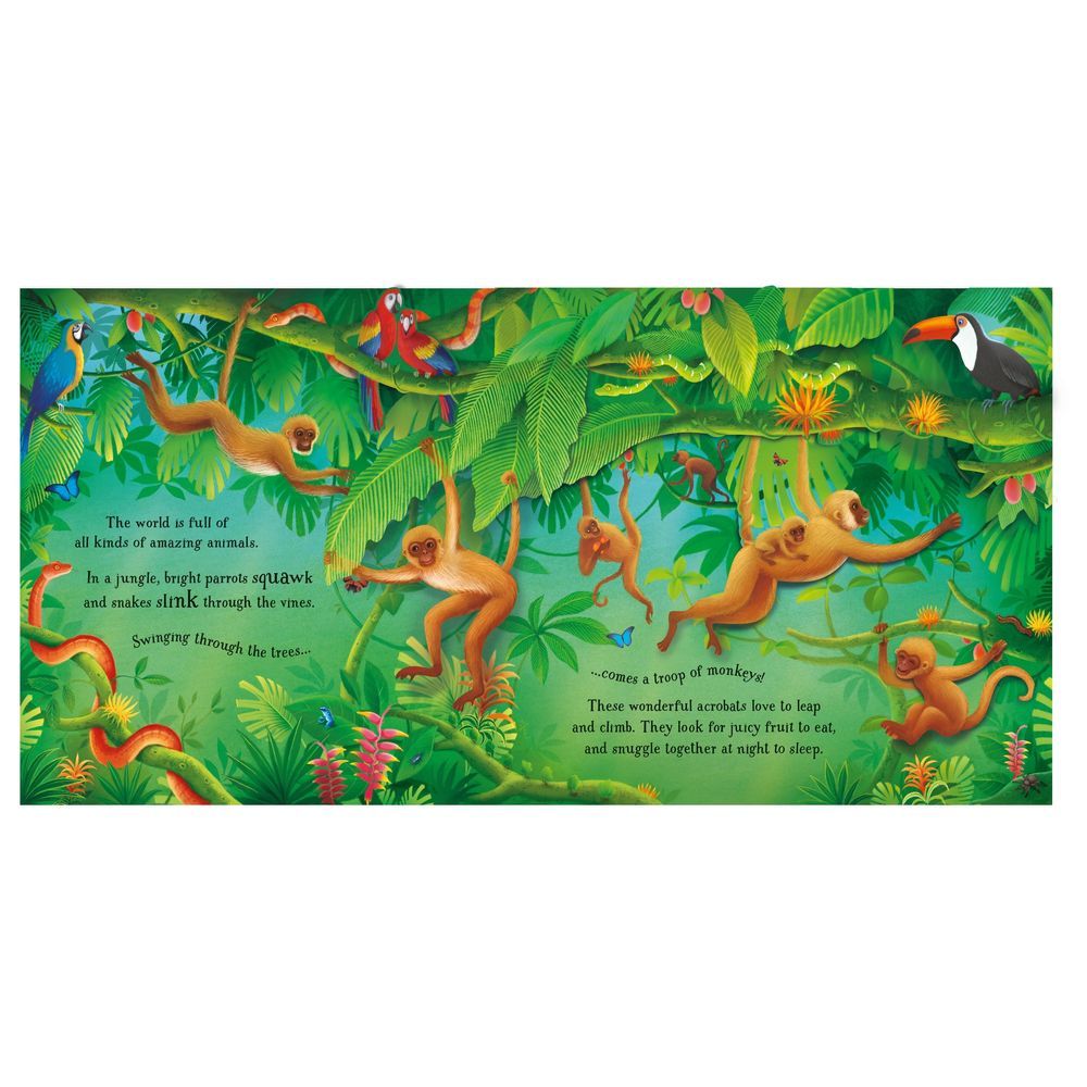 Usborne Books - Pop-Up Animals