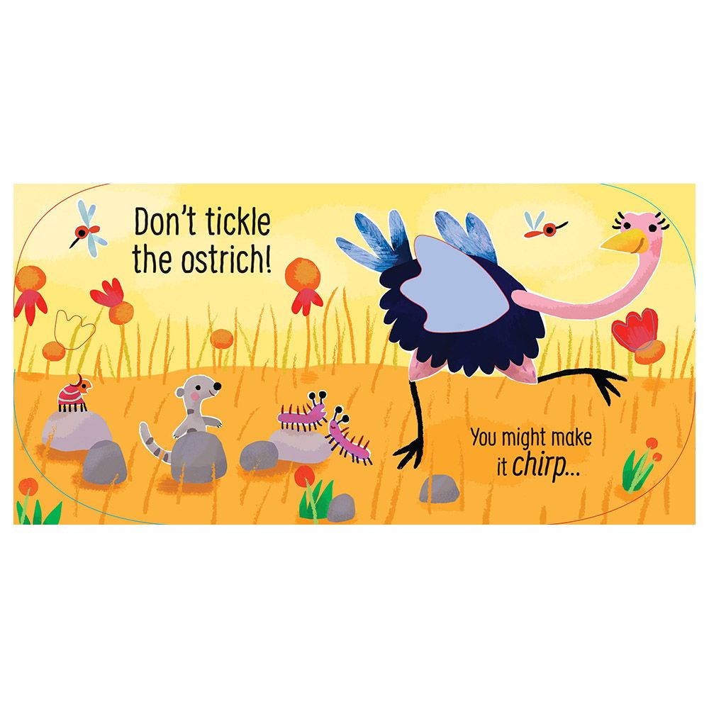 Usborne Books - Don't Tickle The Monkey!