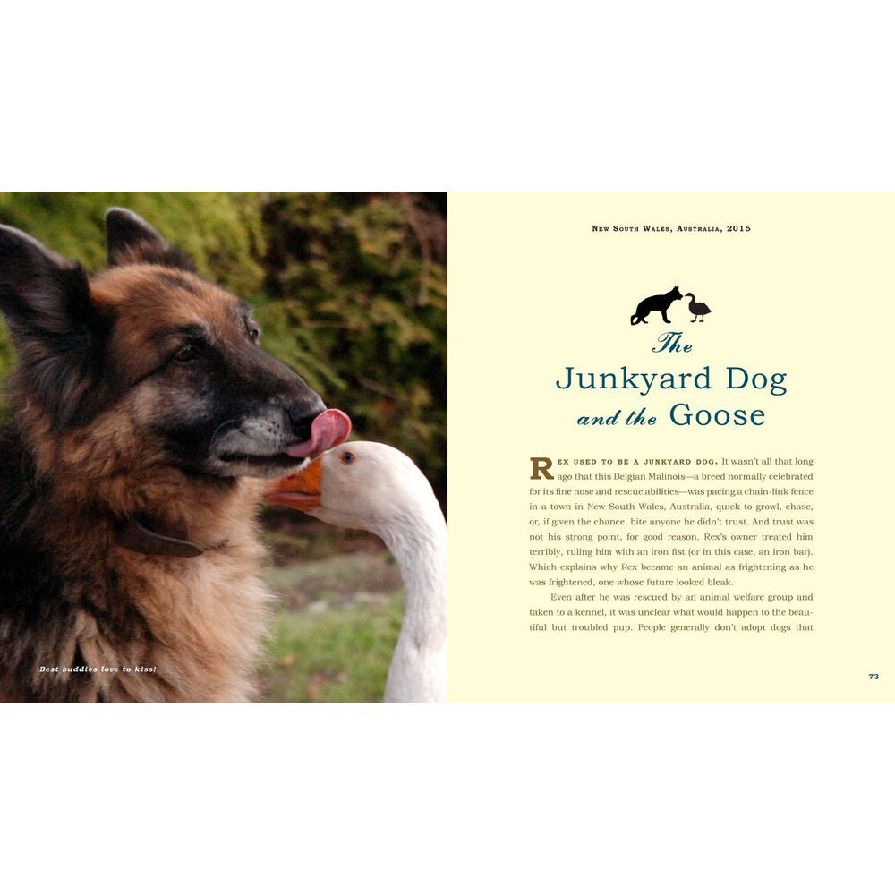 كتاب Unlikely Friendships Dogs