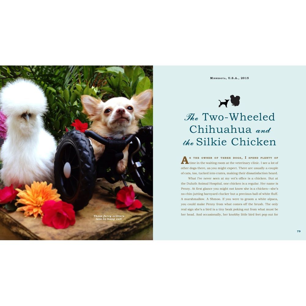 كتاب Unlikely Friendships Dogs