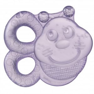 Playgro Water Teether Bee 2 Pack