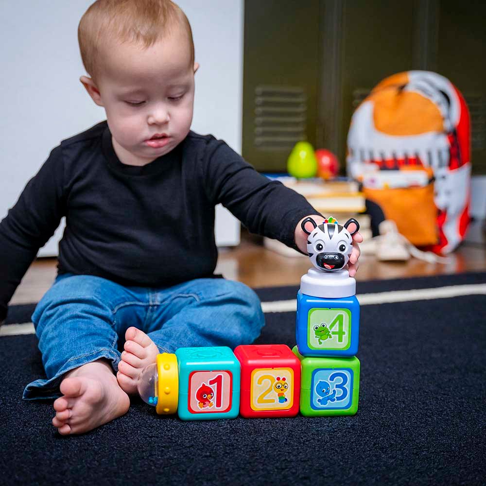 Baby Einstein - Add & Stack Magnetic Activity Blocks