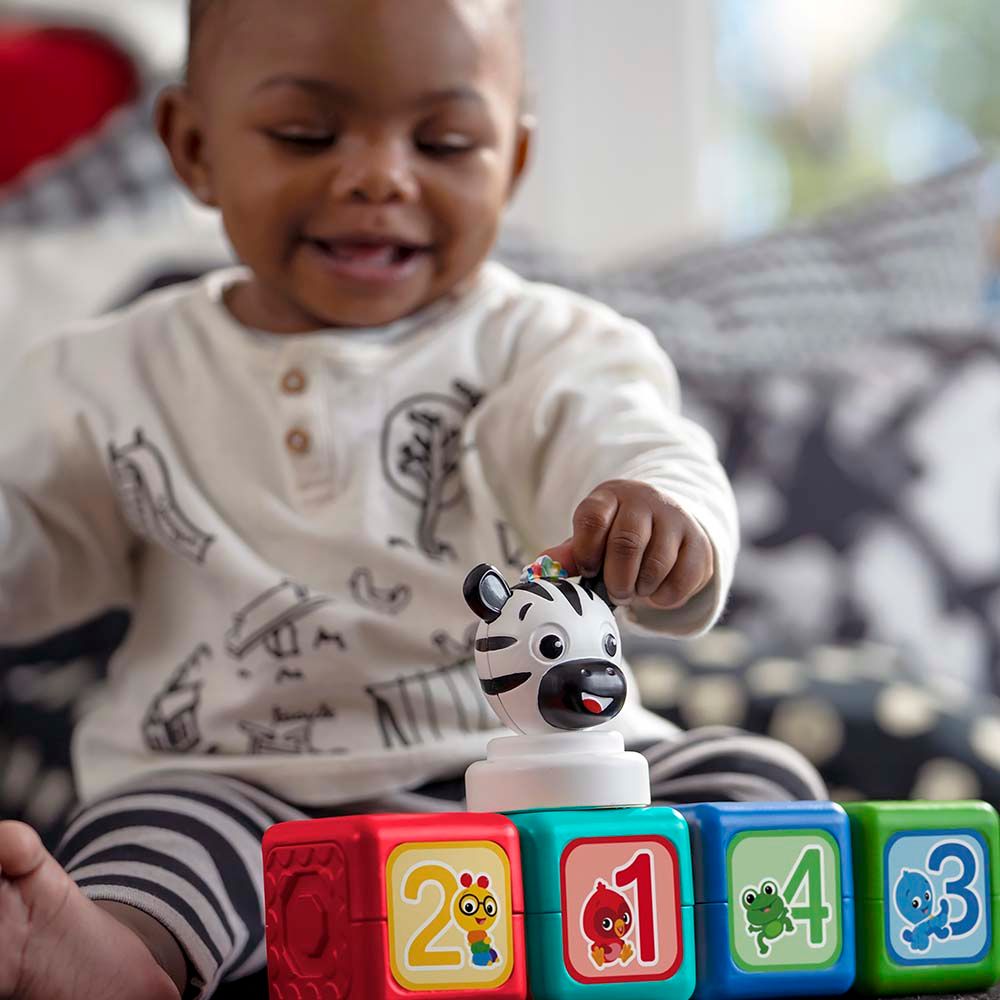 Baby Einstein - Add & Stack Magnetic Activity Blocks