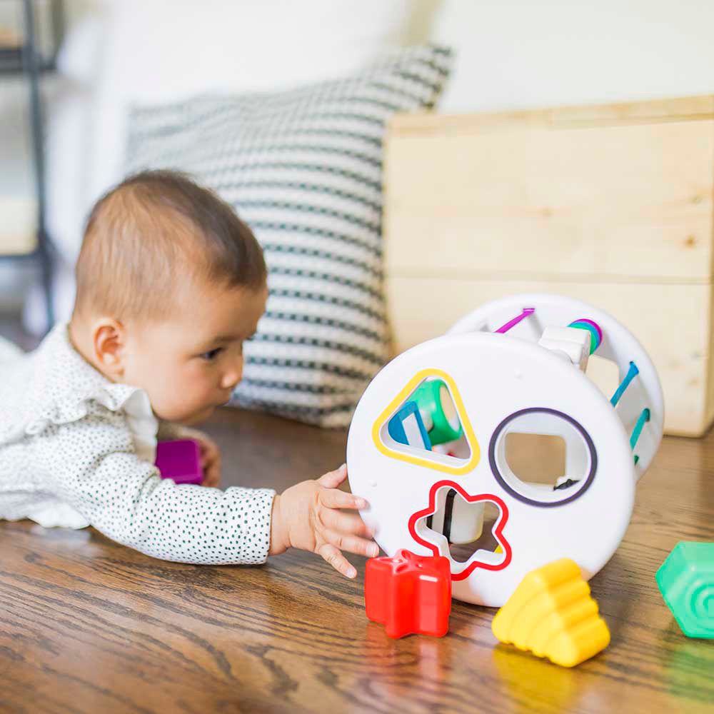 Baby Einstein - Zen & Cals Playground Activity Toy