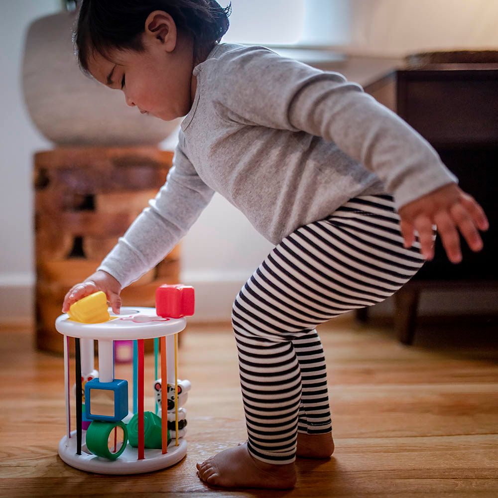 Baby Einstein - Zen & Cals Playground Activity Toy