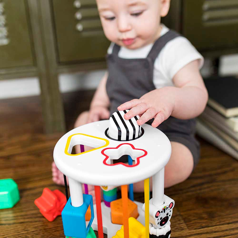 Baby Einstein - Zen & Cals Playground Activity Toy