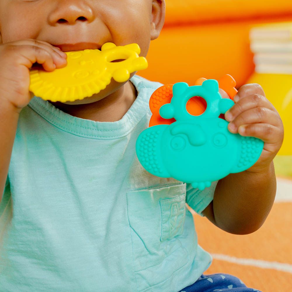 Bright Starts - Teether Set - 3pcs - Animals