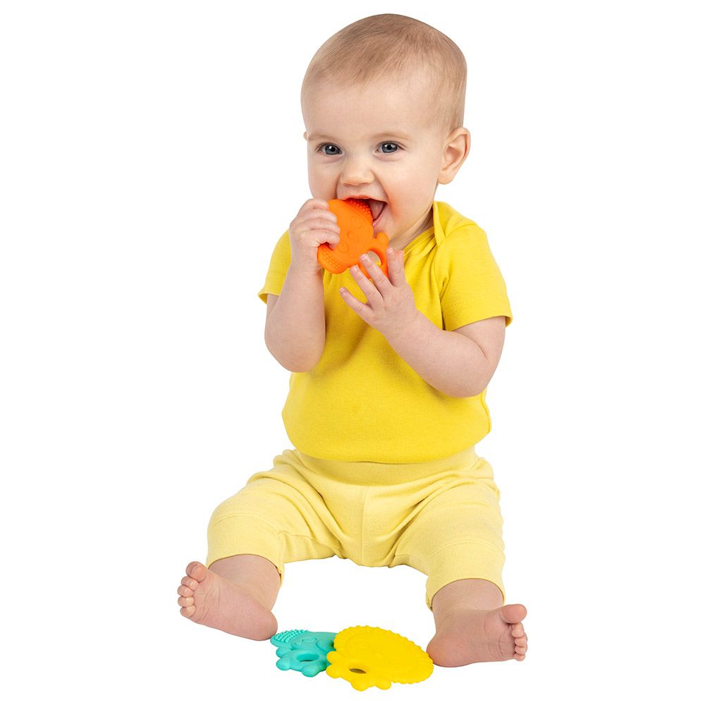 Bright Starts - Teether Set - 3pcs - Animals