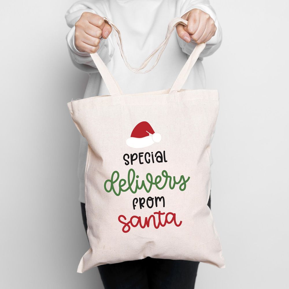 Twinkle Hands - A Special Delivery From Santa Christmas Bag