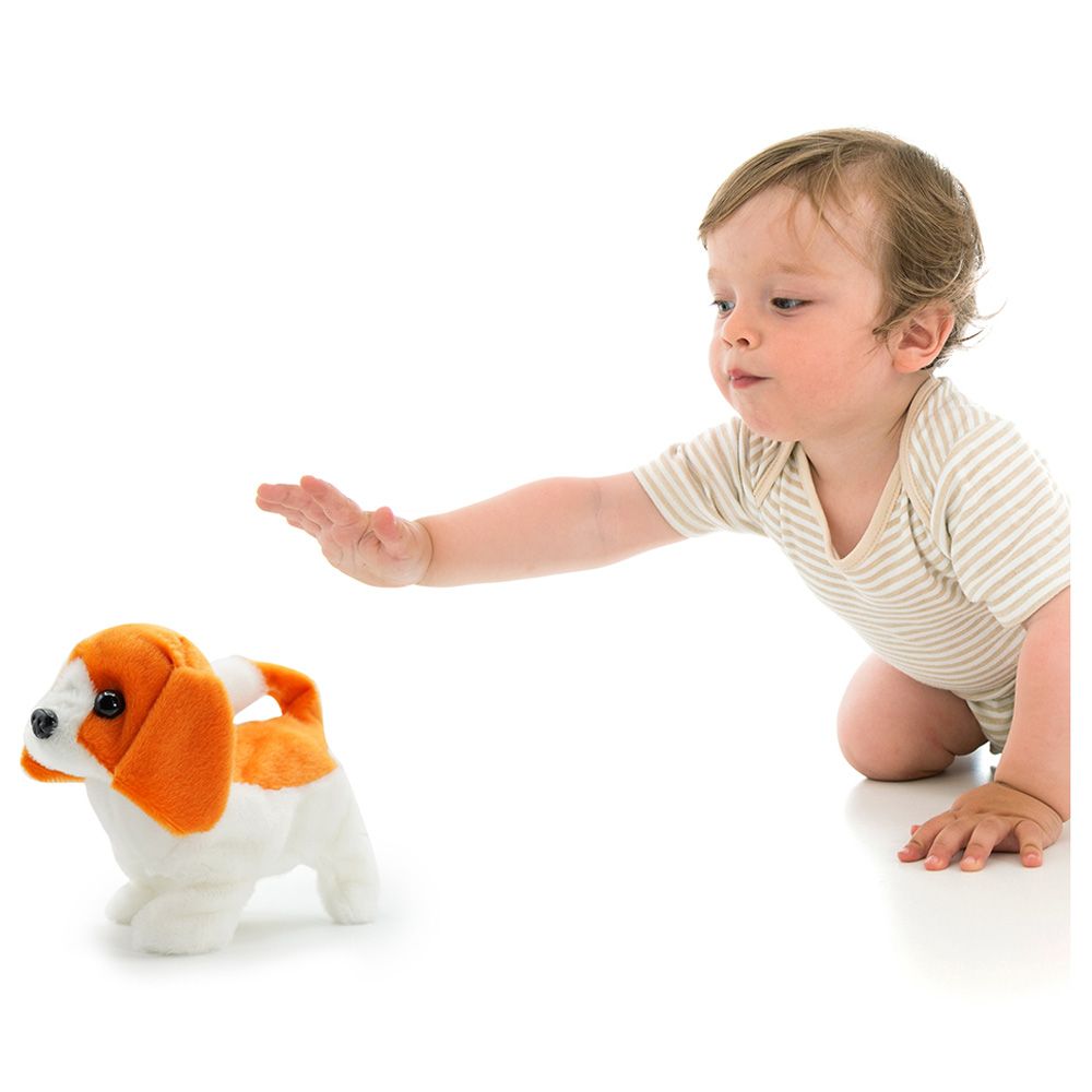 Pugs At Play - Buddy Walking Dog - White/Orange