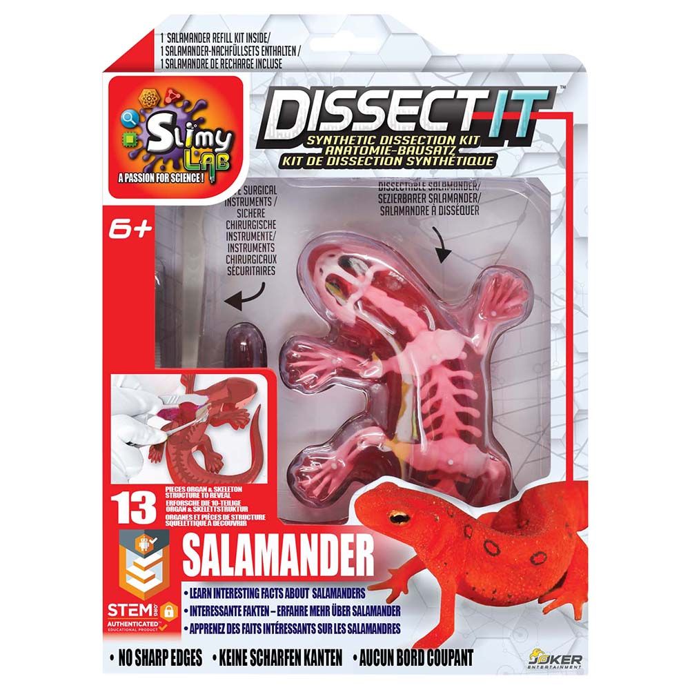 Slimy - Dissect It In Giftbox - Salamander - Red