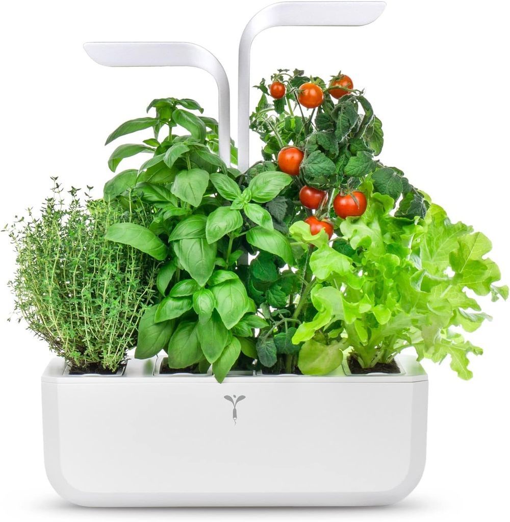 Veritable - Classic Indoor Vegetable Garden With 4 Lingots - White