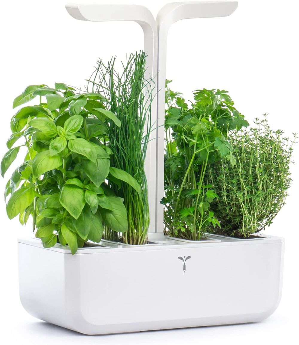 Veritable - Classic Indoor Vegetable Garden With 4 Lingots - White