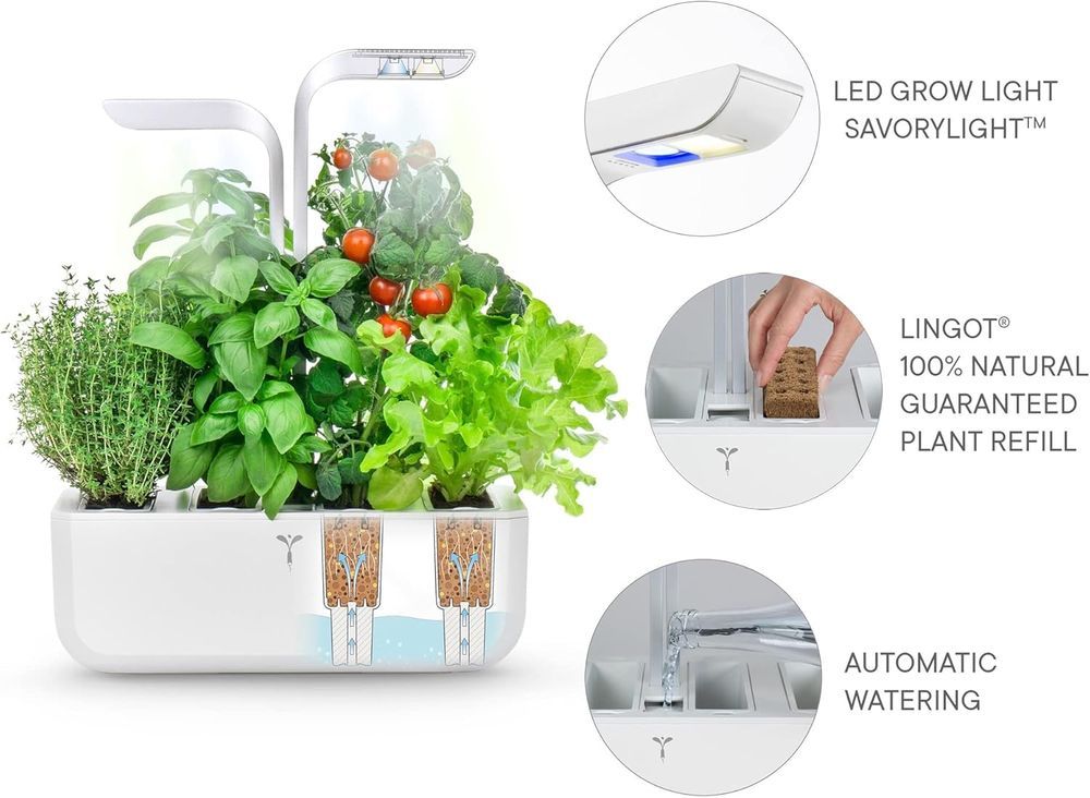 Veritable - Classic Indoor Vegetable Garden With 4 Lingots - White