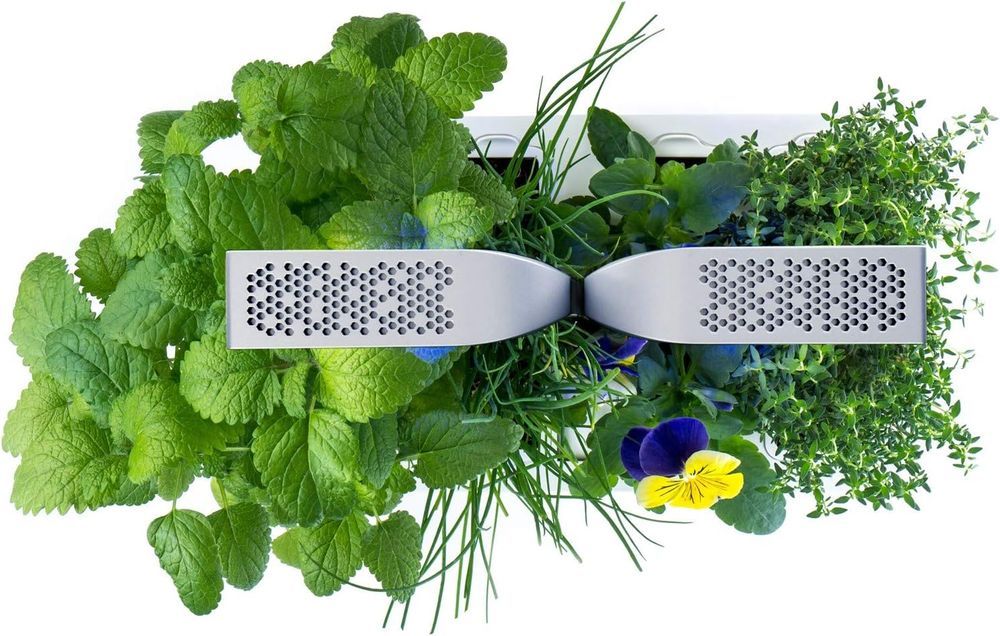 Veritable - Smart Indoor Garden - Artic White