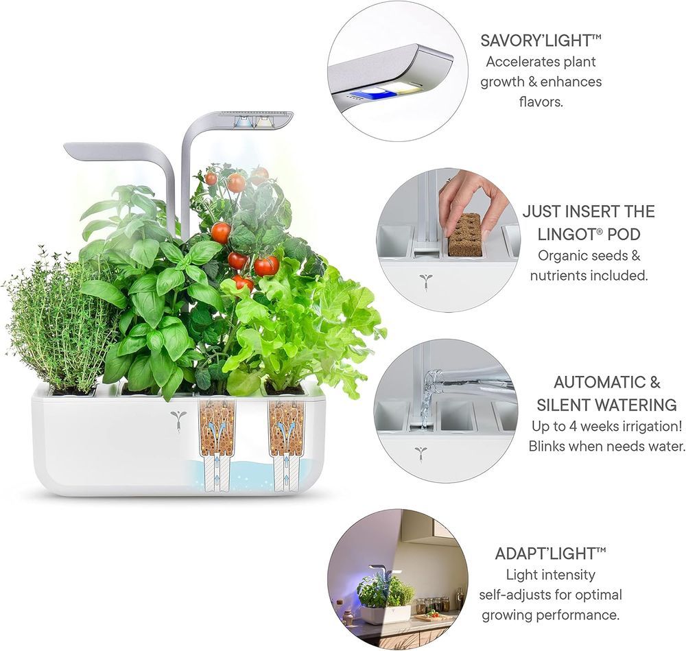 Veritable - Smart Indoor Garden - Artic White