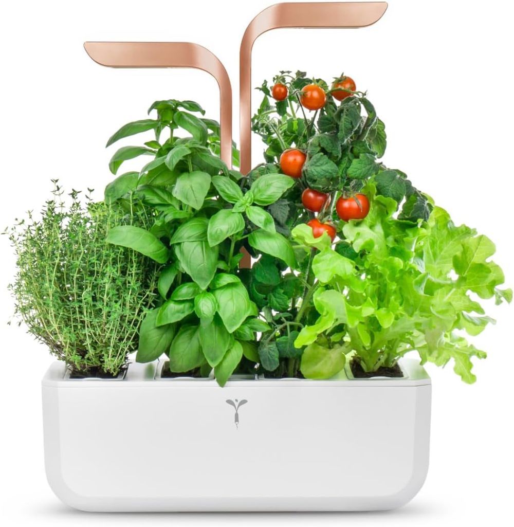 Veritable - Smart Indoor Garden - Copper