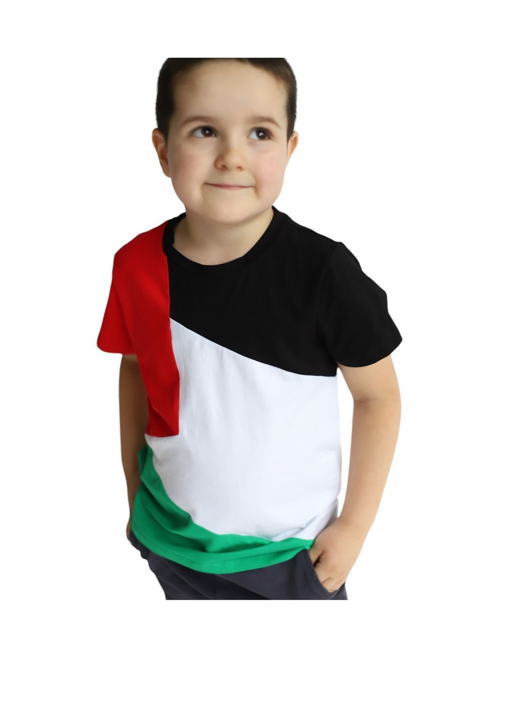 Daniel - Palestine Flag Tshirt National Wear