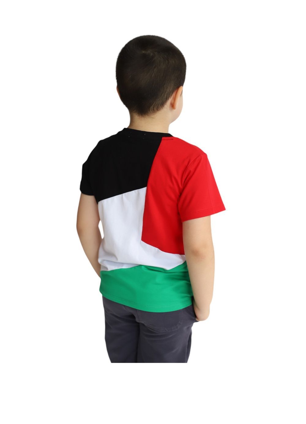 Daniel - Palestine Flag Tshirt National Wear