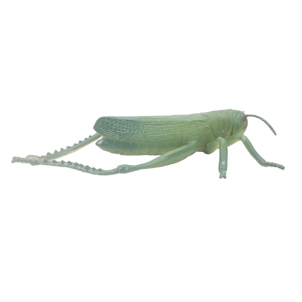 Galaxy Toys - Simulation Series Insect World Toy Hopper - Green