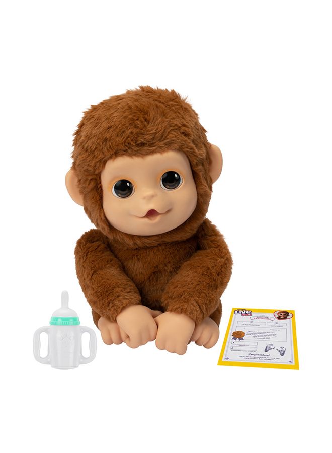 Little Live Pets - My Baby Monkey Pet Toy