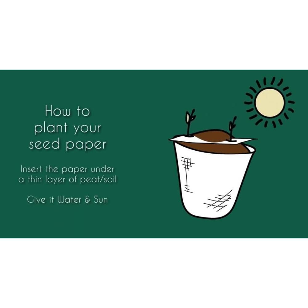 Buy Responsibly - Plantable Seed Pencil Gift Box