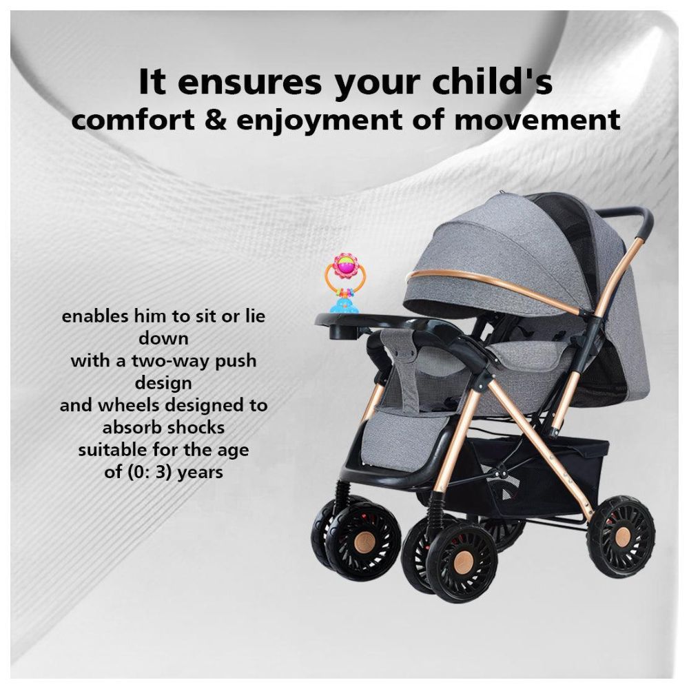 Dreeba - Two-Way-Push Baby Stroller - Grey