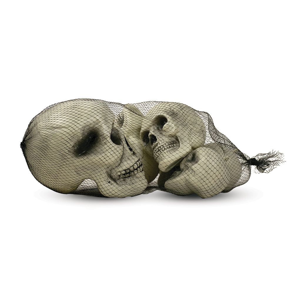 Mad Toys - Halloween Decoration - Creepy Assorted Skulls - 6pcs