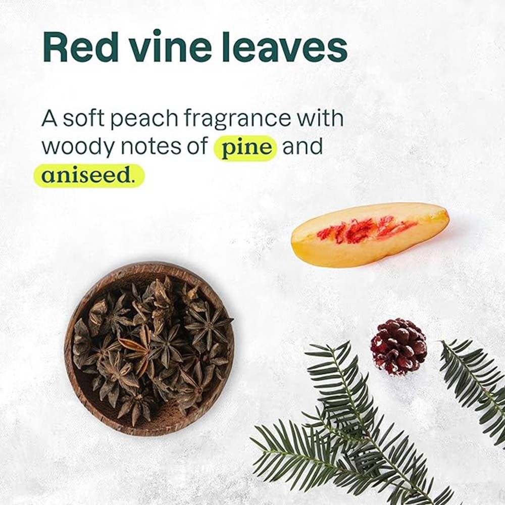 Attitude - Plastic-Free Deodorant - Red Vine Leaves - 85 g