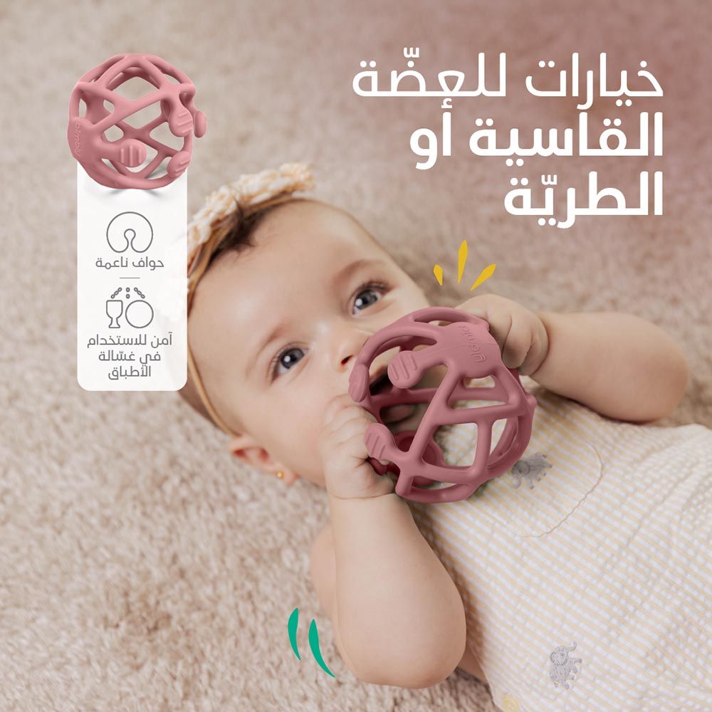 Bimbly - Silicone Teethers - Pink - 2pcs