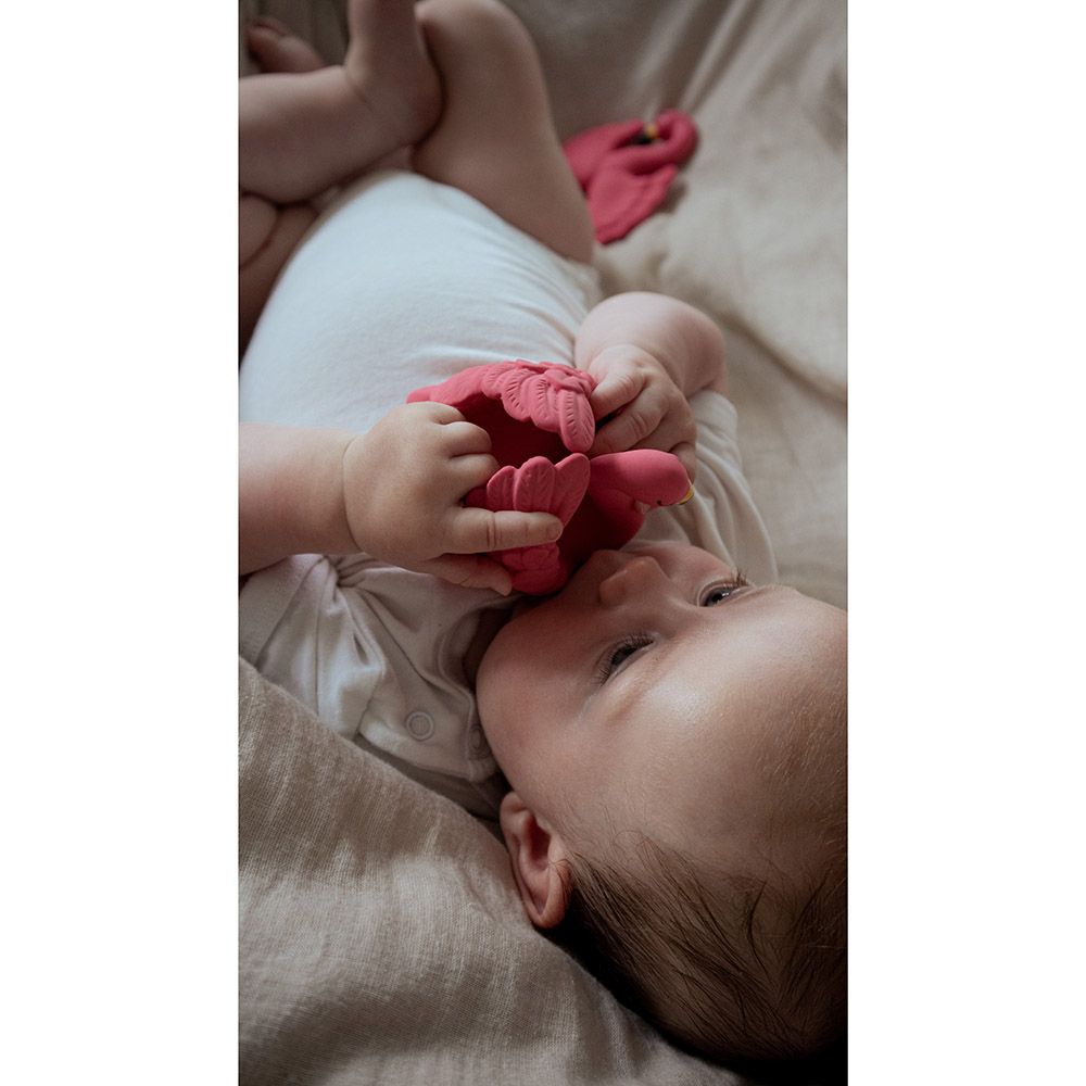 Natruba - Flamingo Bath Toy - Pink