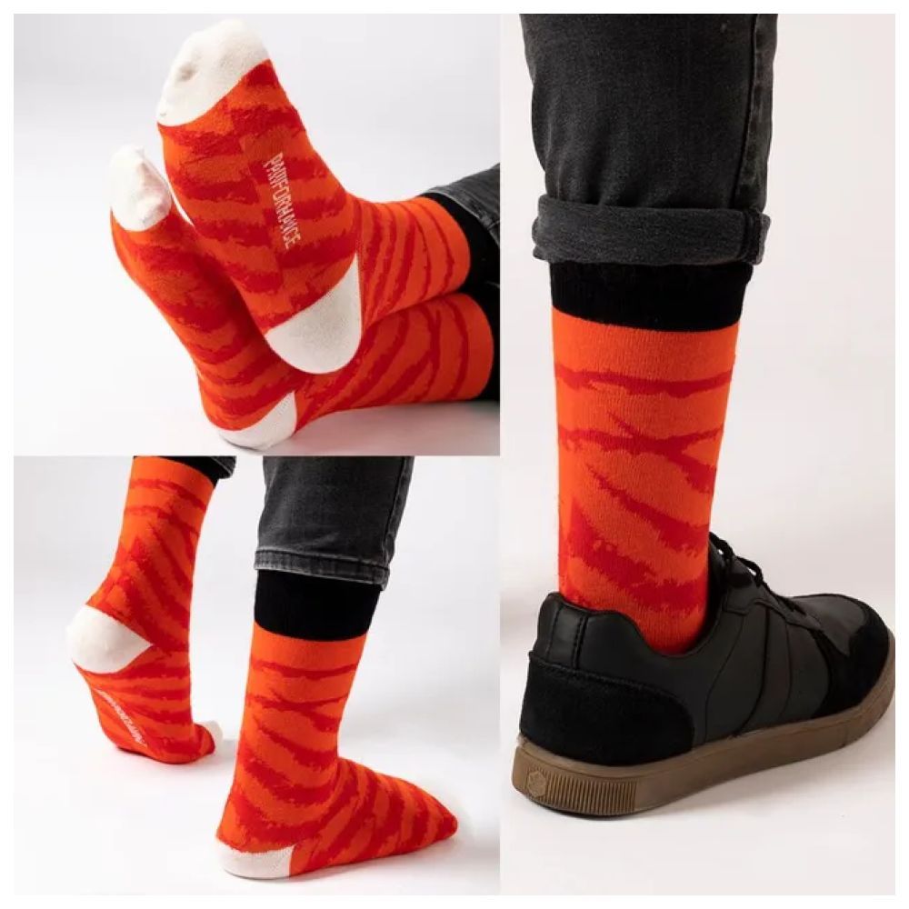 Biggdesign - Dogs Socks - 3pc Set