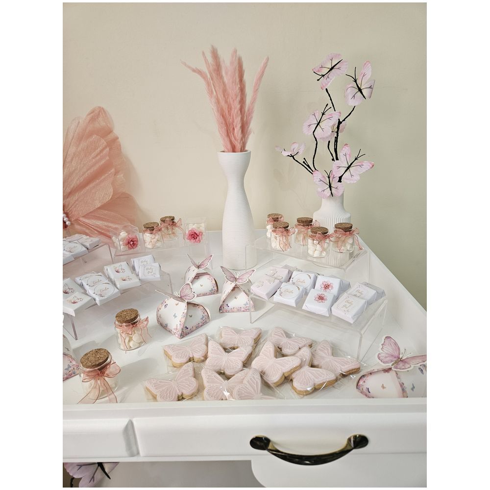 Dream Day Design - Newborn Chocolate Setup - Butterfly Theme