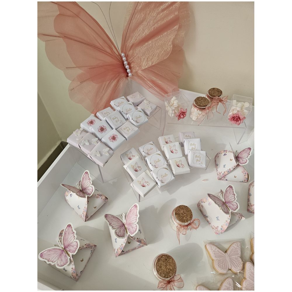 Dream Day Design - Newborn Chocolate Setup - Butterfly Theme